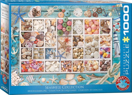 EUROGRAPHICS Puzzle Lauřina sbírka mušlí 1000 dílků