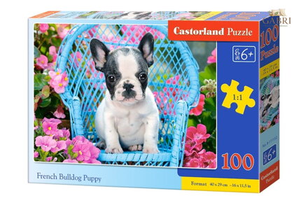 CASTORLAND Puzzle Štěně francouzského buldočka 100 dílků