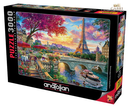 ANATOLIAN Puzzle Rozkvetlá Paříž 3000 dílků