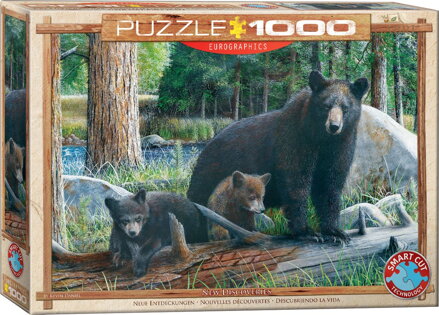 EUROGRAPHICS Puzzle Nové objevy 1000 dílků