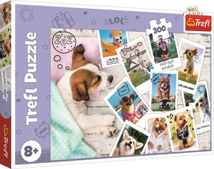 TREFL Puzzle Fotky z dovolené 300 dílků