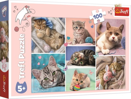 TREFL Puzzle V kočičím světě 100 dílků