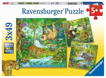 RAVENSBURGER Puzzle Zvířata v džungli 3x49 dílků