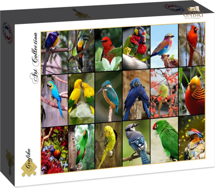 GRAFIKA Puzzle Nejkrásnější ptáci světa 1500 dílků