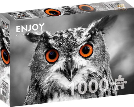 ENJOY Puzzle Zvědavá sova 1000 dílků