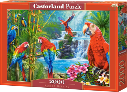CASTORLAND Puzzle Setkání papoušků 2000 dílků