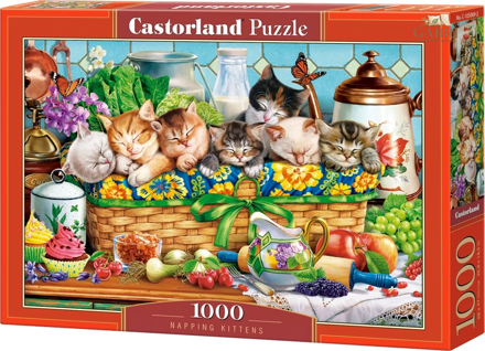 CASTORLAND Puzzle Dřímající koťata 1000 dílků