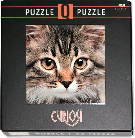 CURIOSI Čtvercové puzzle Q Animal: Kočka 66 dílků