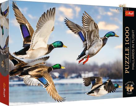 TREFL Puzzle Premium Plus: Let divokých kachen 1000 dílků