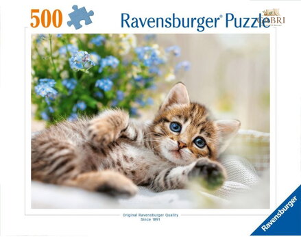 RAVENSBURGER Puzzle Mazlivé koťátko 500 dílků