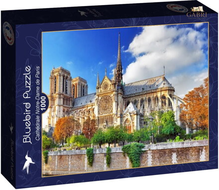 BLUEBIRD Puzzle Katedrála Notre-Dame 1000 dílků