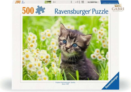 RAVENSBURGER Puzzle Kotě na louce 500 dílků