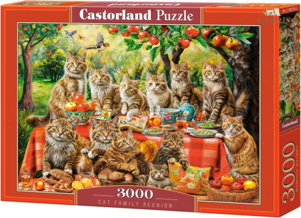 CASTORLAND Puzzle Setkání kočičí rodiny 3000 dílků