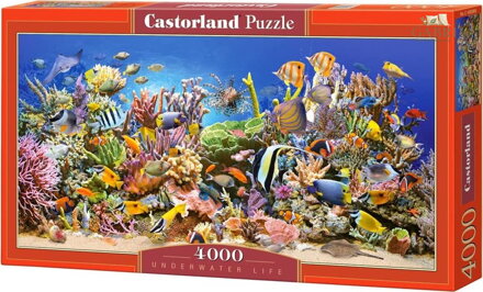 CASTORLAND Puzzle Podmořský život 4000 dílků