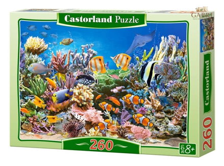 CASTORLAND Puzzle Barvy oceánu 260 dílků