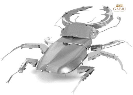 METAL EARTH 3D puzzle Roháč obecný