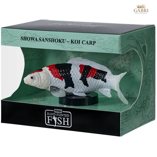 Mojo Kapr koi showa sanshoku v krabičce