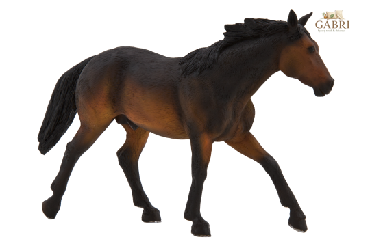 Mojo Quarter horse hnědák