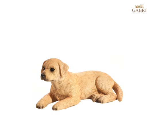 Mojo Labrador štěně