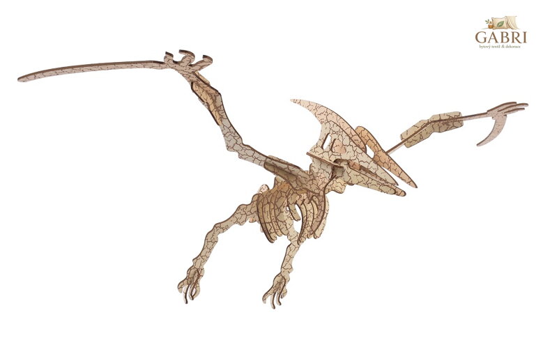 Woodcraft Dřevěné 3D puzzle Pterosaur