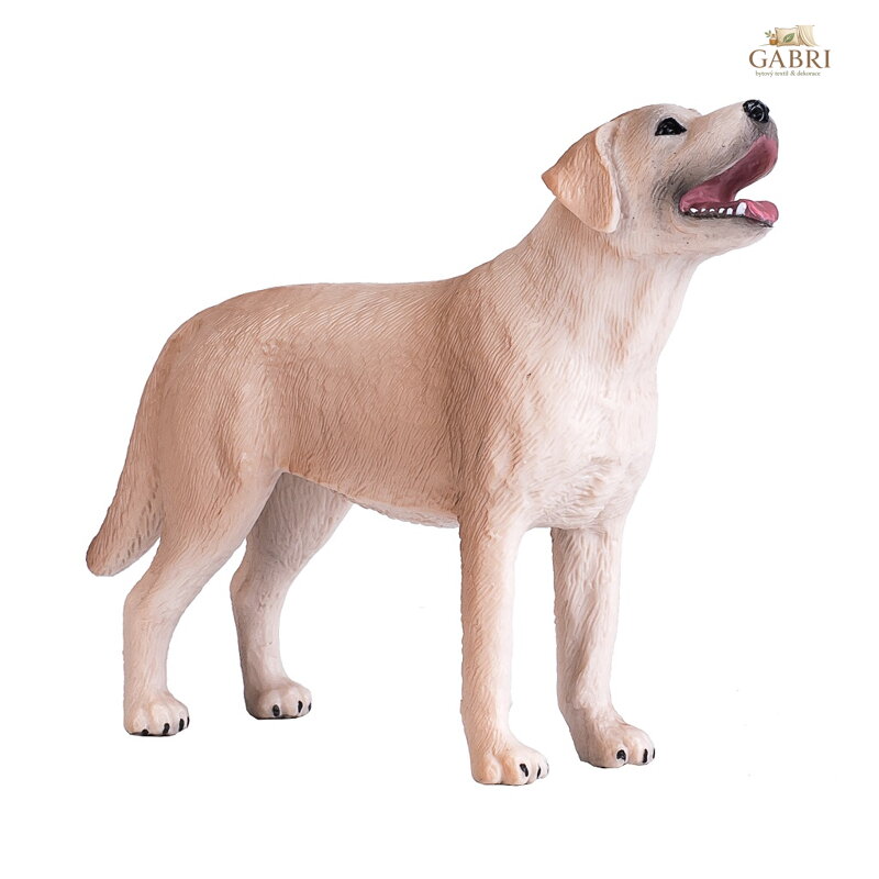 Mojo Labrador