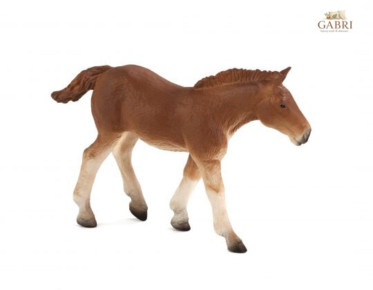 Mojo Suffolk Punch hříbě