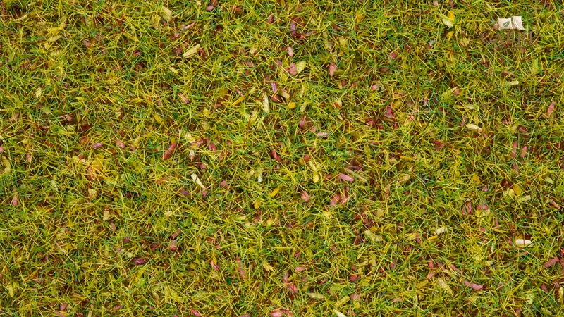 Noch Statická tráva Kvetoucí louka 2,5 mm