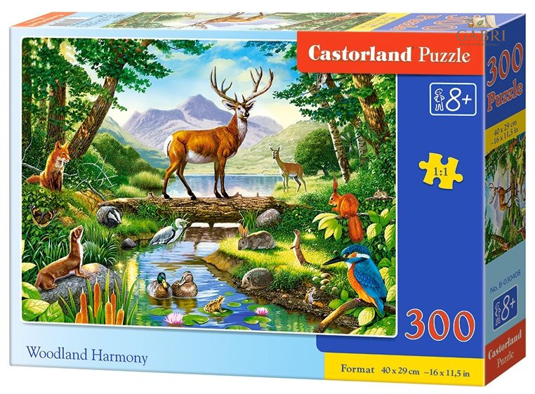 CASTORLAND Puzzle Harmonie lesa 300 dílků