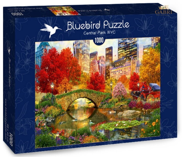 BLUEBIRD Puzzle Central Park, New York 1000 dílků