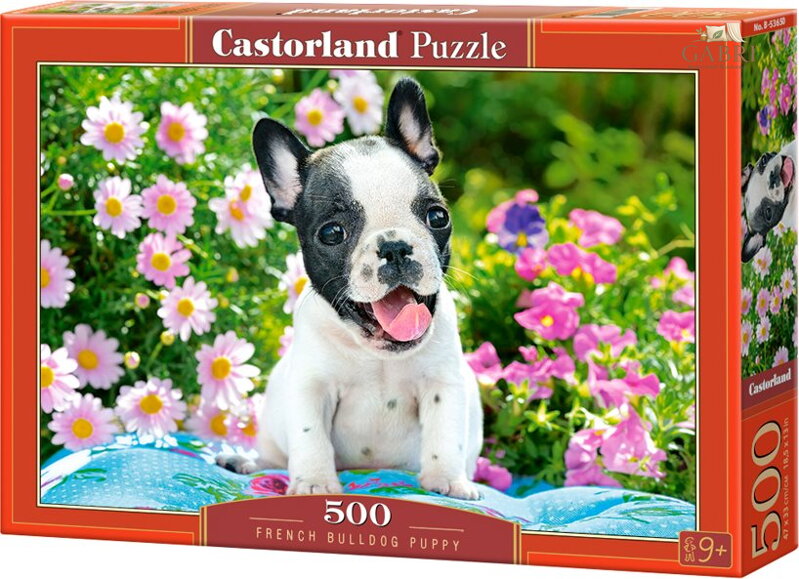 CASTORLAND Puzzle Štěně francouzského buldočka 500 dílků