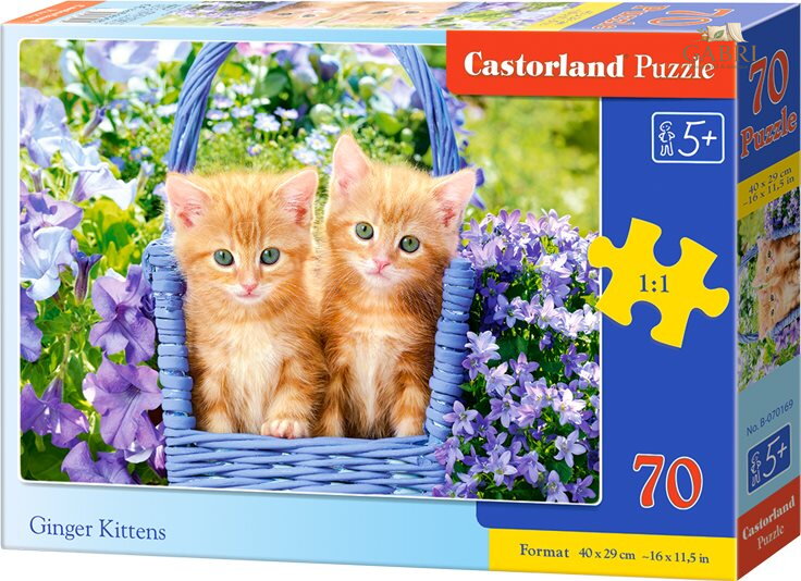 CASTORLAND Puzzle Zrzavá koťata 70 dílků