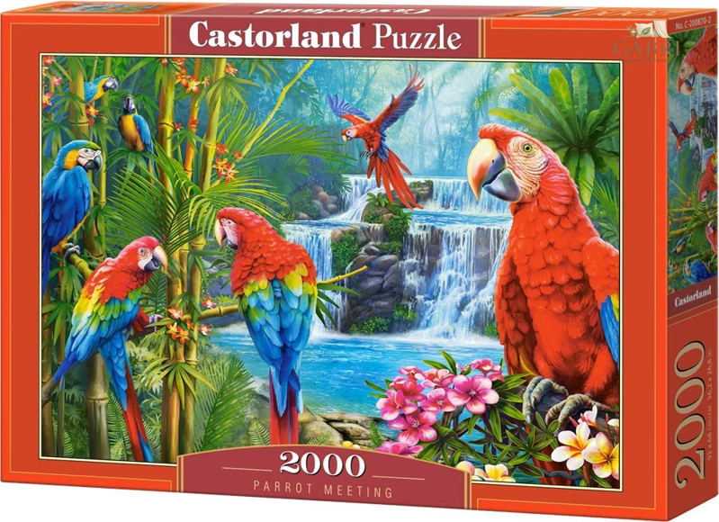 CASTORLAND Puzzle Setkání papoušků 2000 dílků