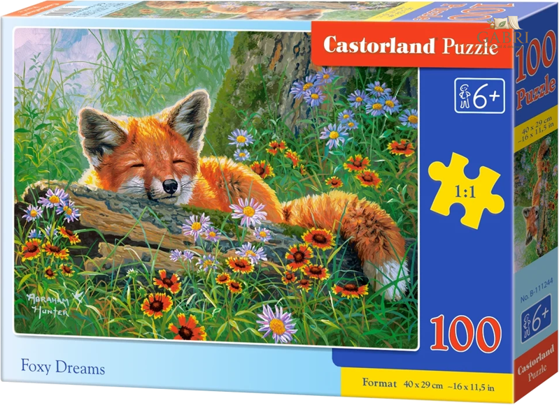 CASTORLAND Puzzle Liščí snění 100 dílků