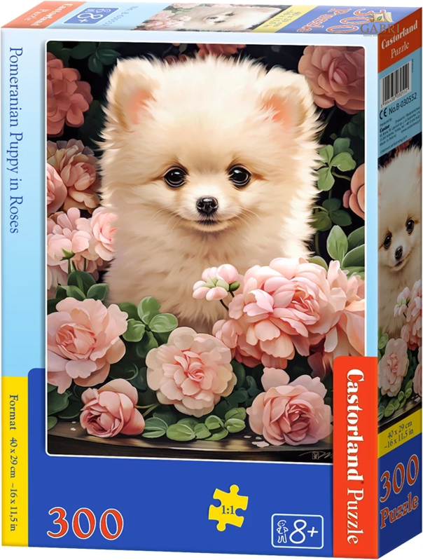 CASTORLAND Puzzle Štěně Pomeraniana v růžích 60 dílků
