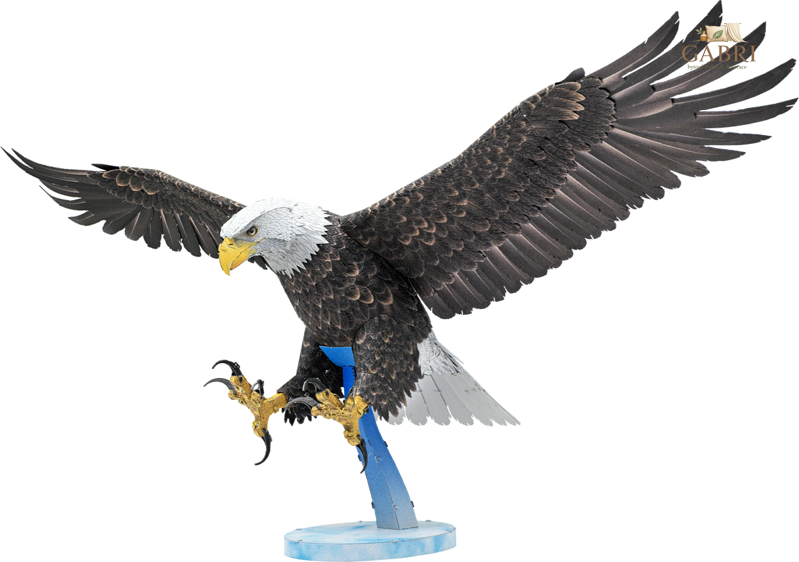 METAL EARTH 3D puzzle Premium Series: Orel bělohlavý