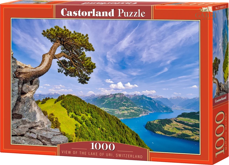 CASTORLAND Puzzle Pohled na jezero Uri, Švýcarsko 1000 dílků