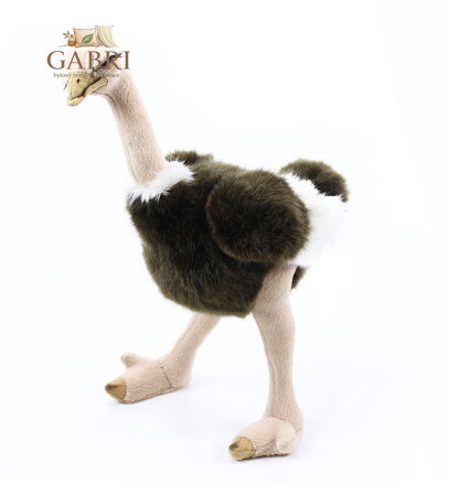 Rappa Plyšový pštros Emu 32 cm