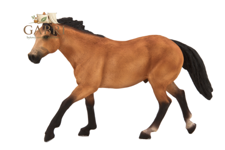 Mojo Quarter horse plavák