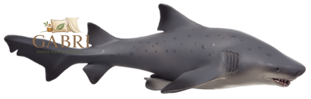 Mojo Žralok bělavý velký