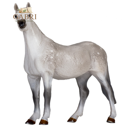 Mojo Orlovský klusák