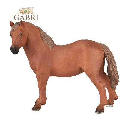 Mojo Suffolk Punch kobyla