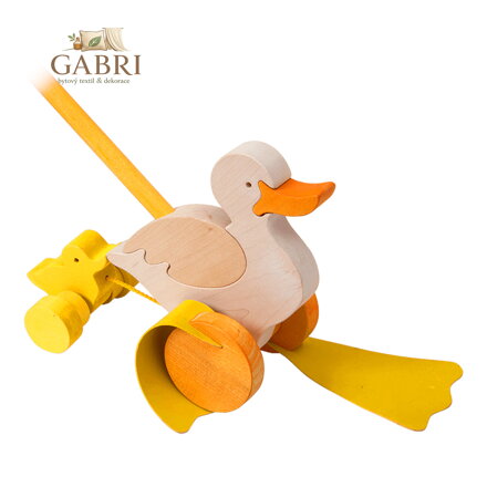 Fauna Jezdík Kačena s káčátkem