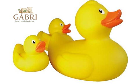 Lena Kachní rodinka