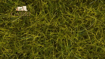 Noch Statická tráva divoká XL Louka 12 mm