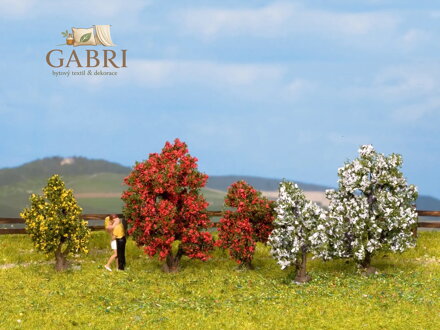 Noch Keř kvetoucí sada 5 ks