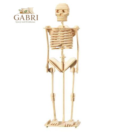 Woodcraft Dřevěné 3D puzzle Kostra