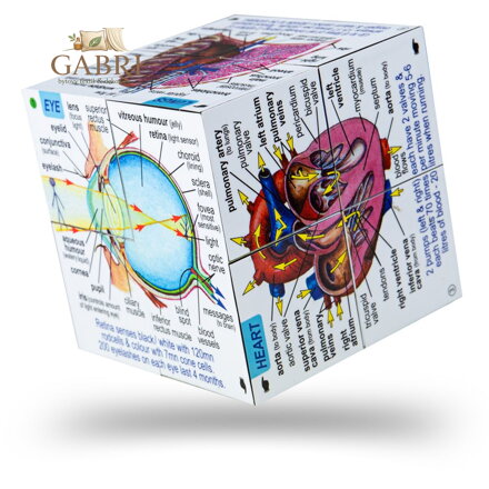 Zoobookoo Kniha v kostce Lidské tělo