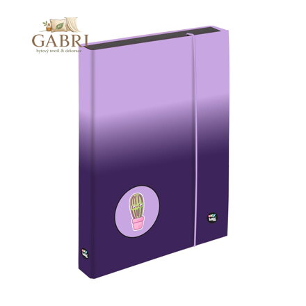 Box na sešity A4 Jumbo OXY NEXT Ombre Purple