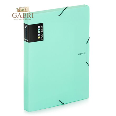 Box na spisy A4 PP PASTELINI s gumou, zelený