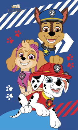 Jerry Fabrics Dětský ručník Paw Patrol Blue 30x50 cm